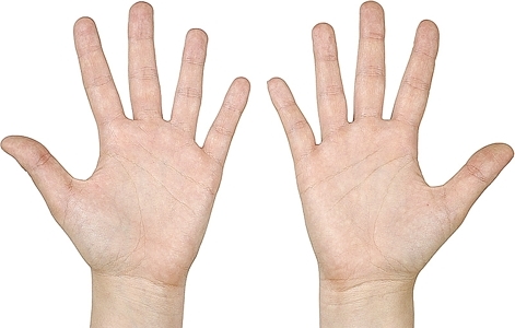 hands hands