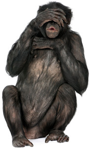 Don't monkey around!